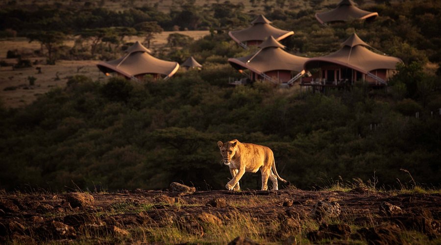 Mahali Mzuri · Сафарито на Ричард Брансън
